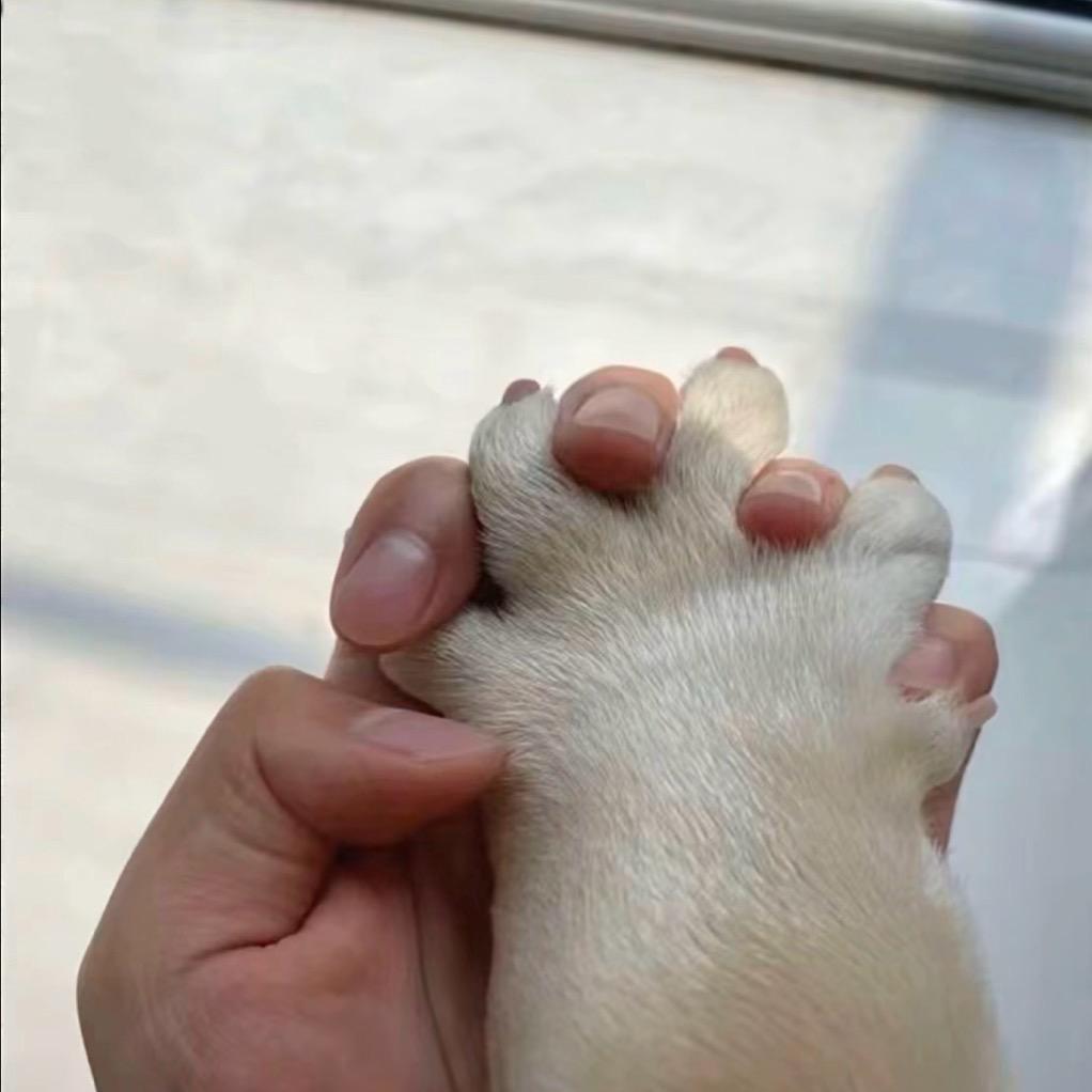 灯蹬等登