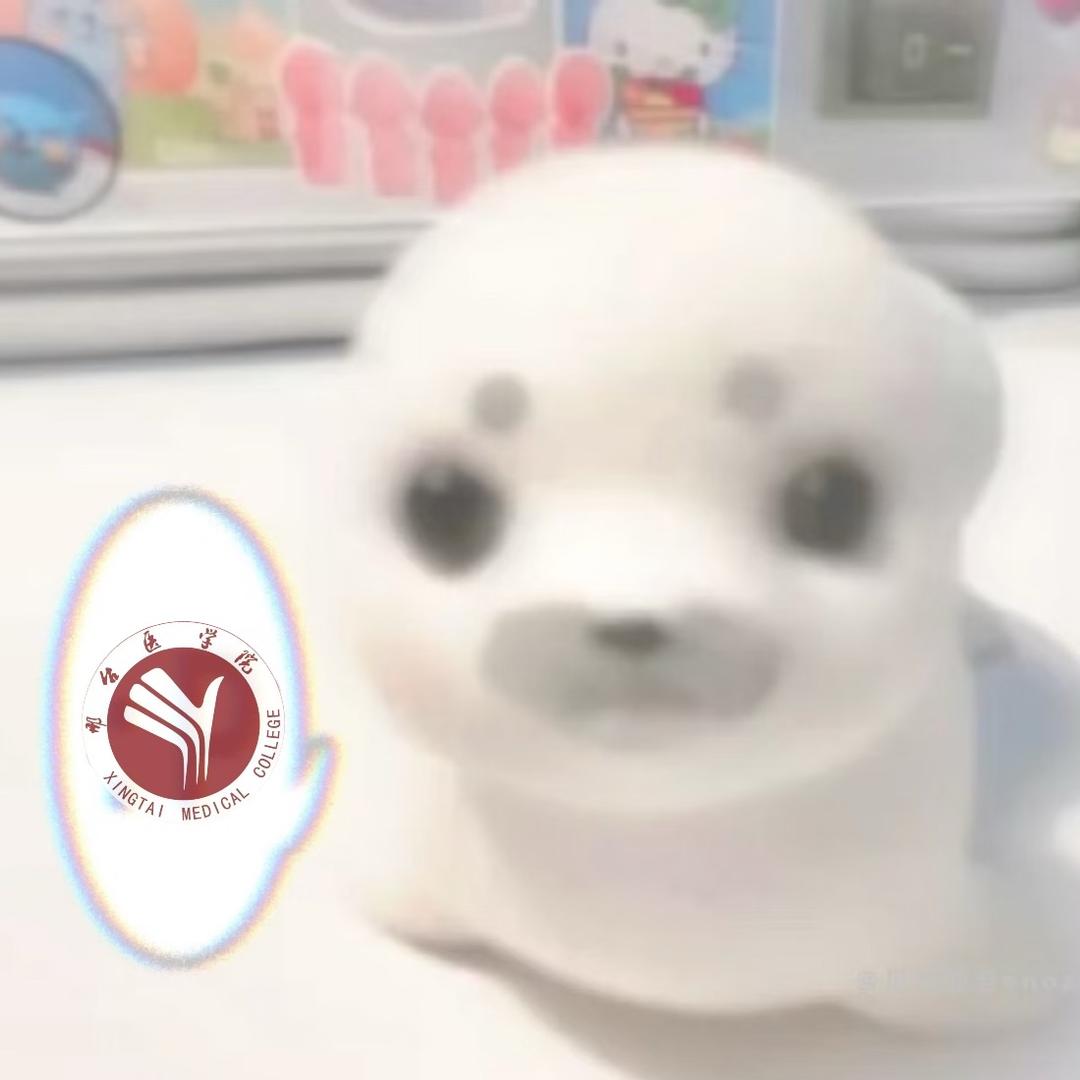 在邢台的小于学姐