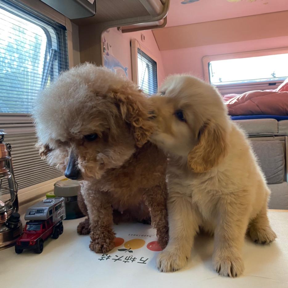 小七的房车生活@抖音