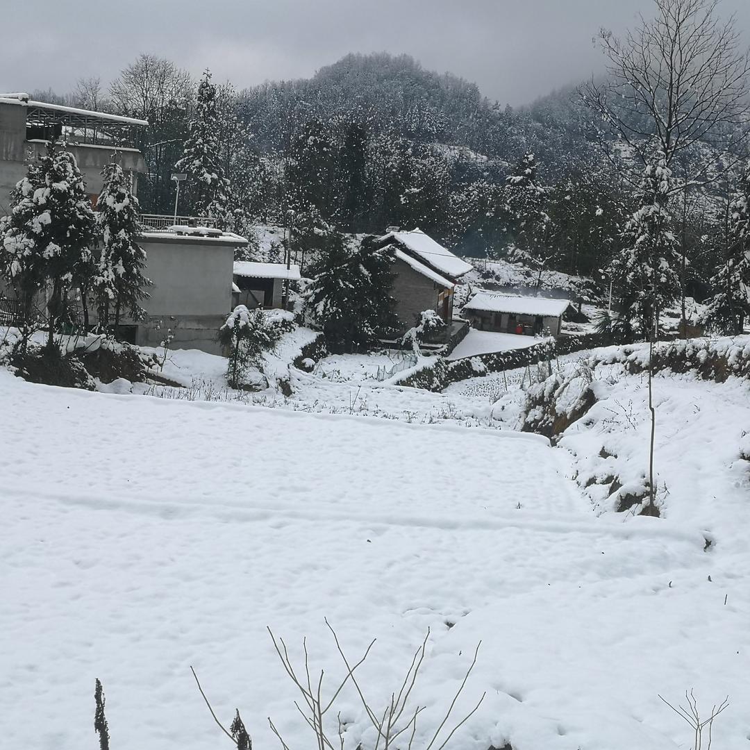 前程似锦