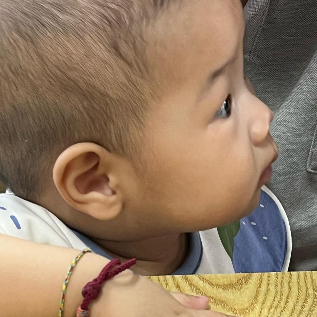 岁岁大王🍼