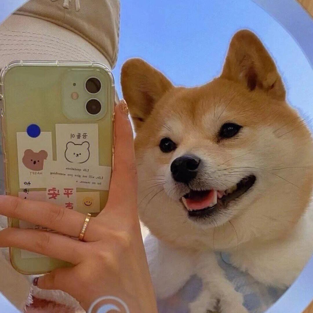 草莓可爱