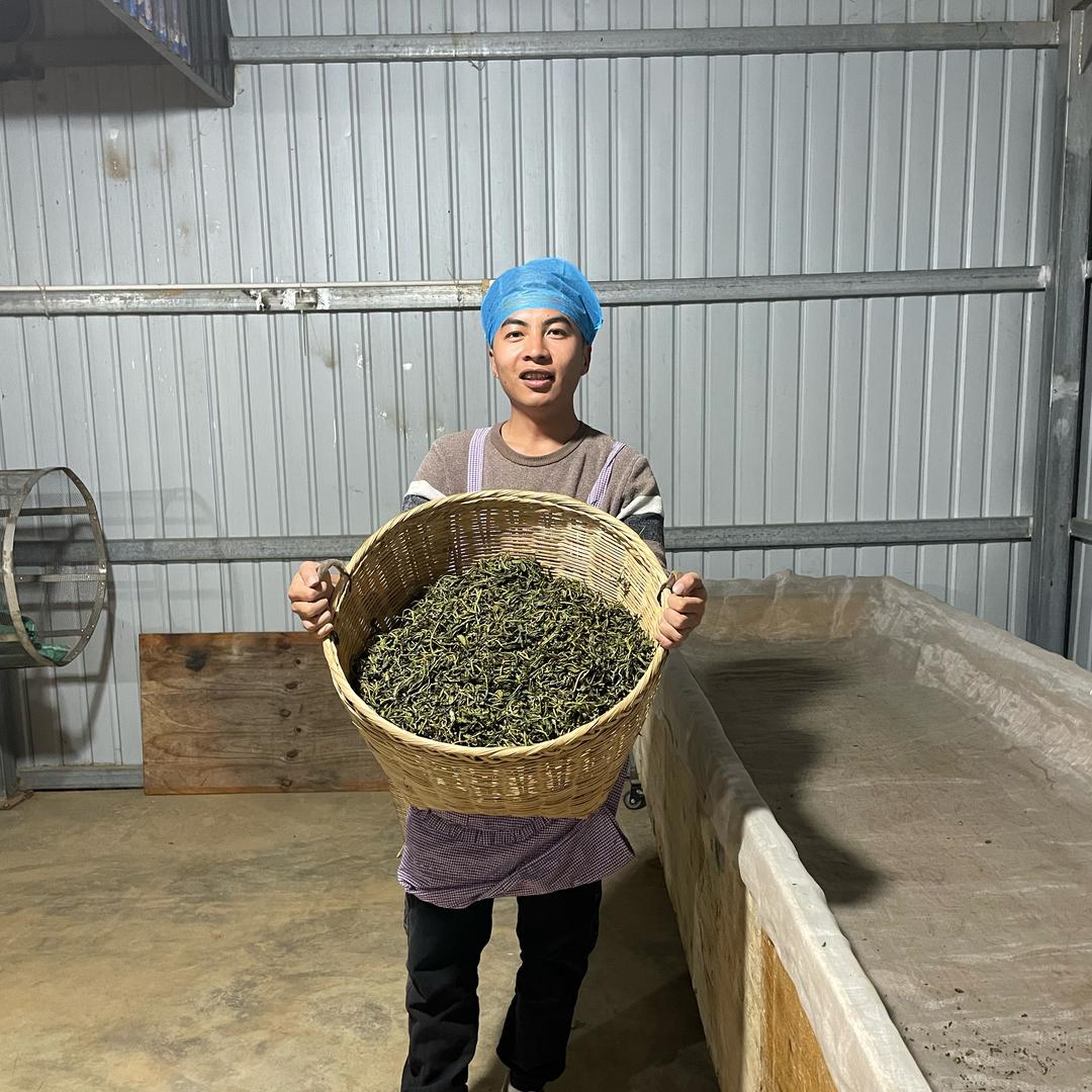 茶山  小蒋 （大碗茶）