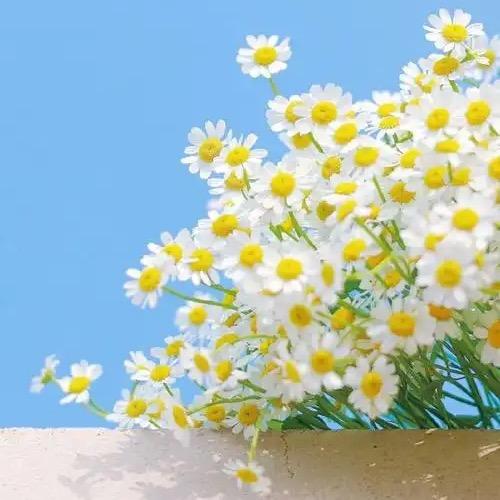 和发珠宝辽源店唐静晶