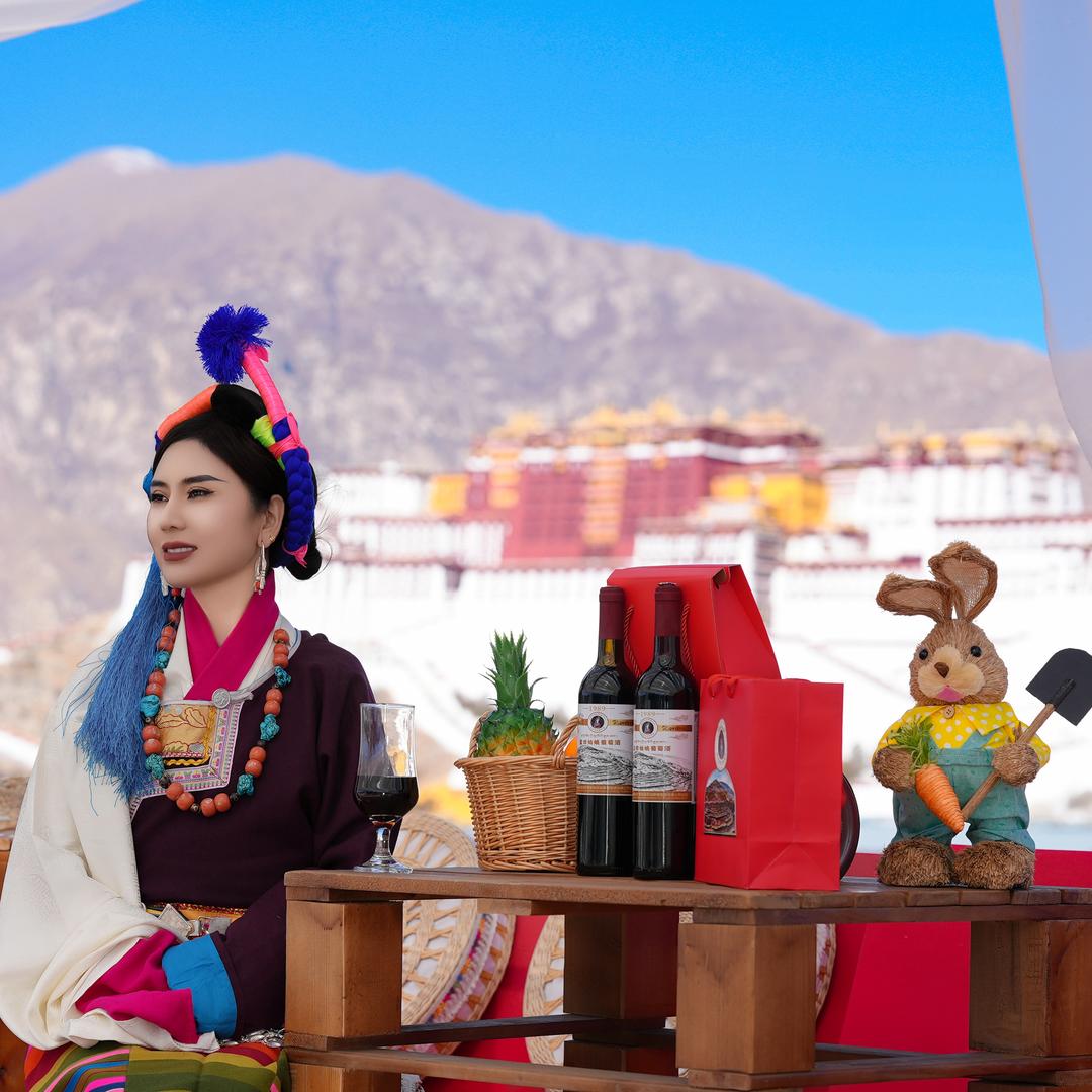 芒康歌手卓玛曲宗