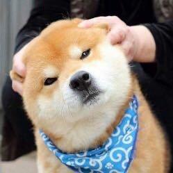 尾巴