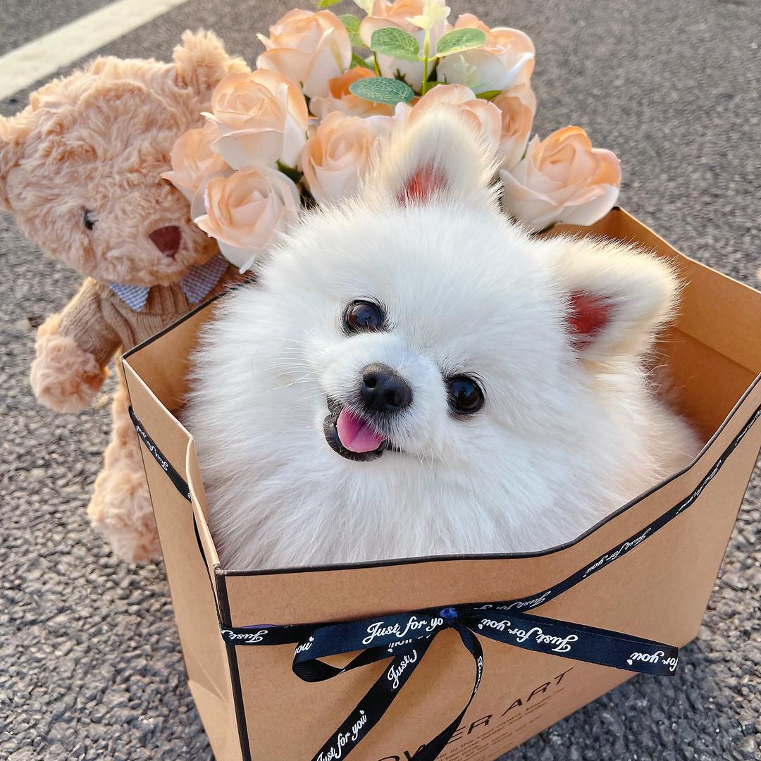L.花花