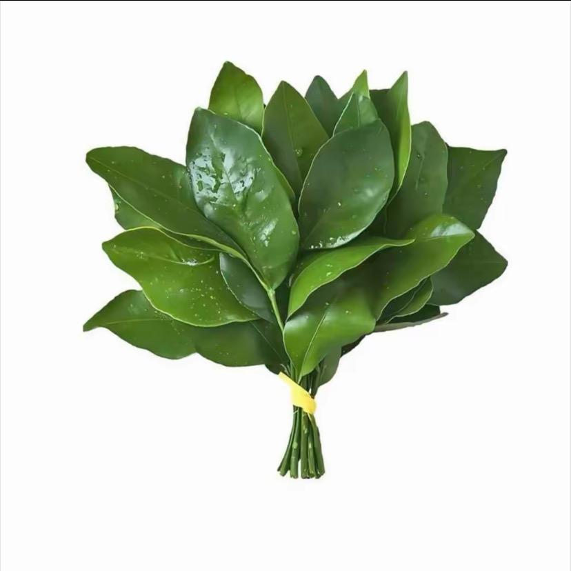 你管我呢