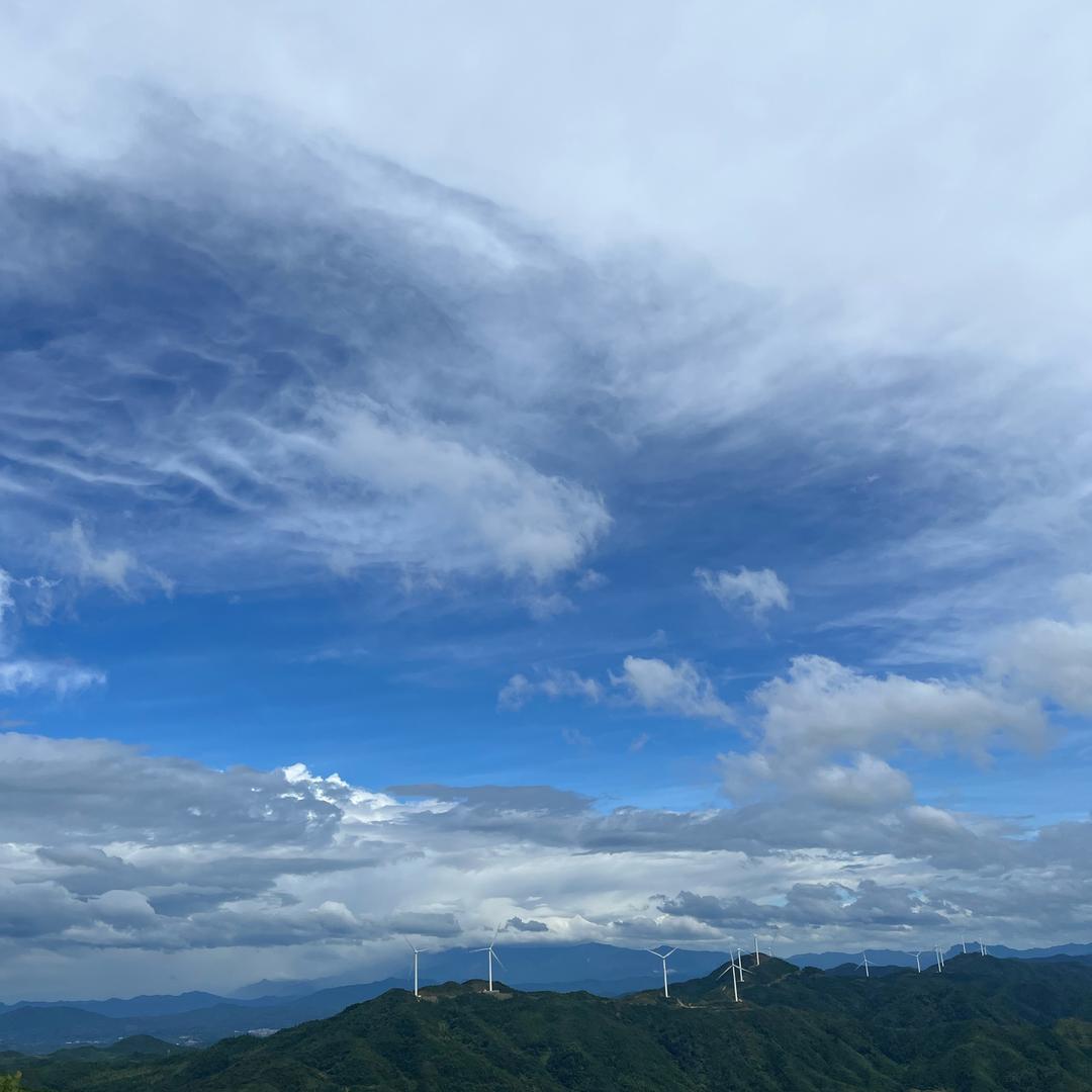 风雨同舟