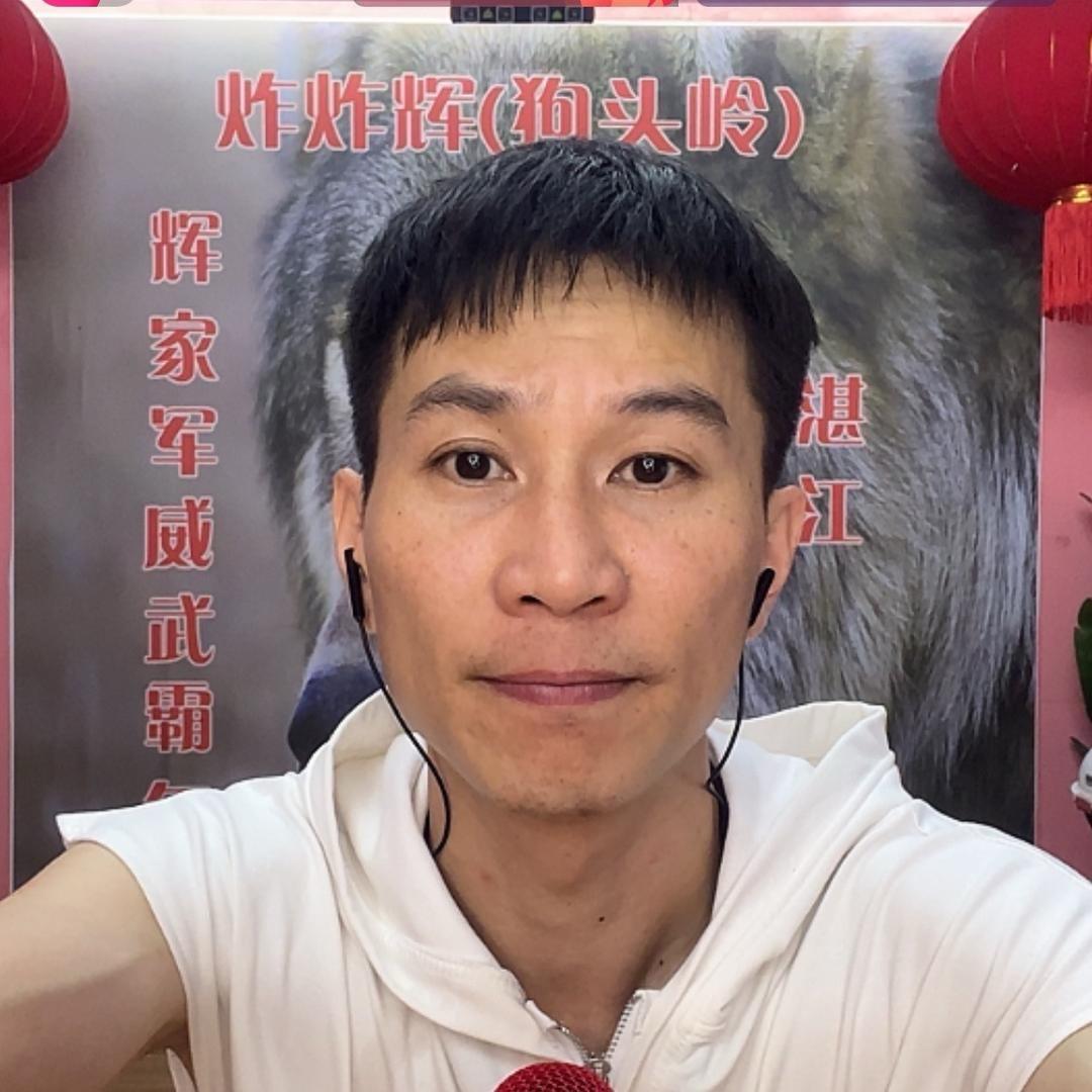 炸炸辉文化传媒