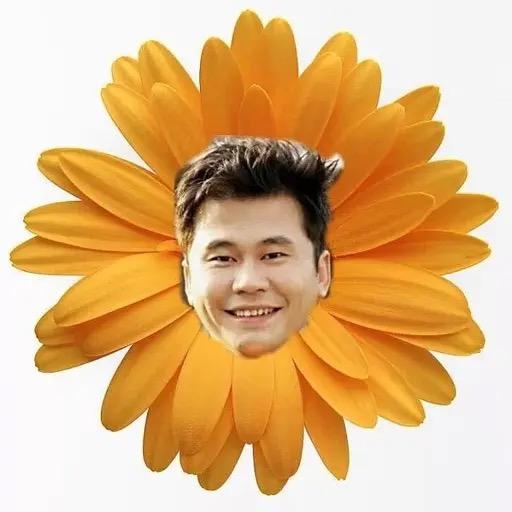 YG_杨菊花