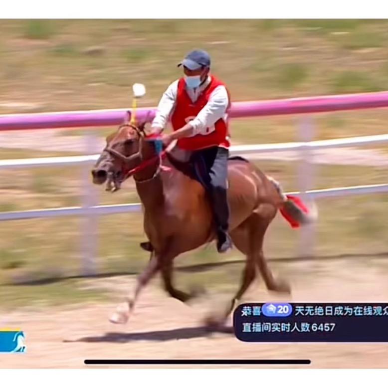 江西色朵骑手～萨格