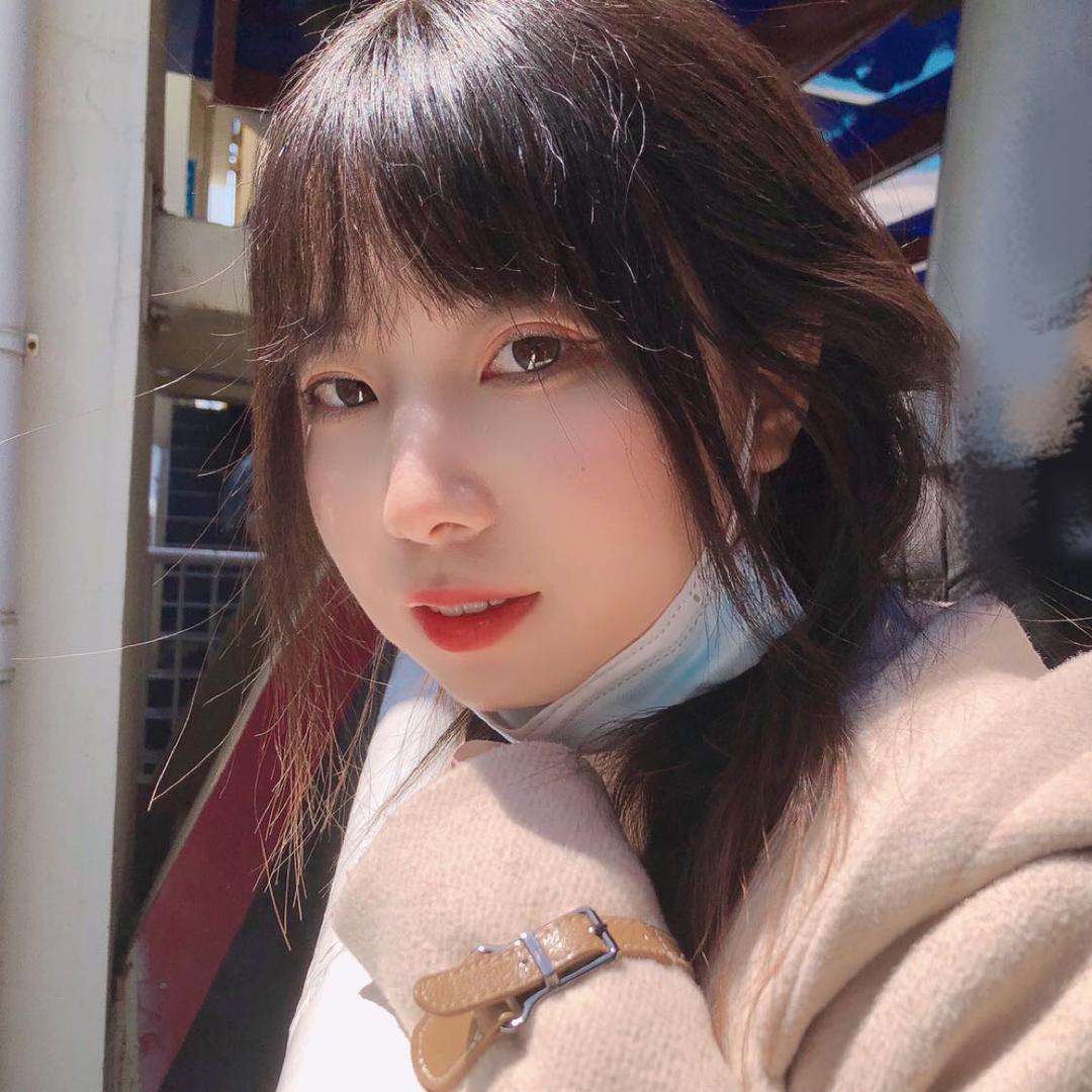 L、🐷