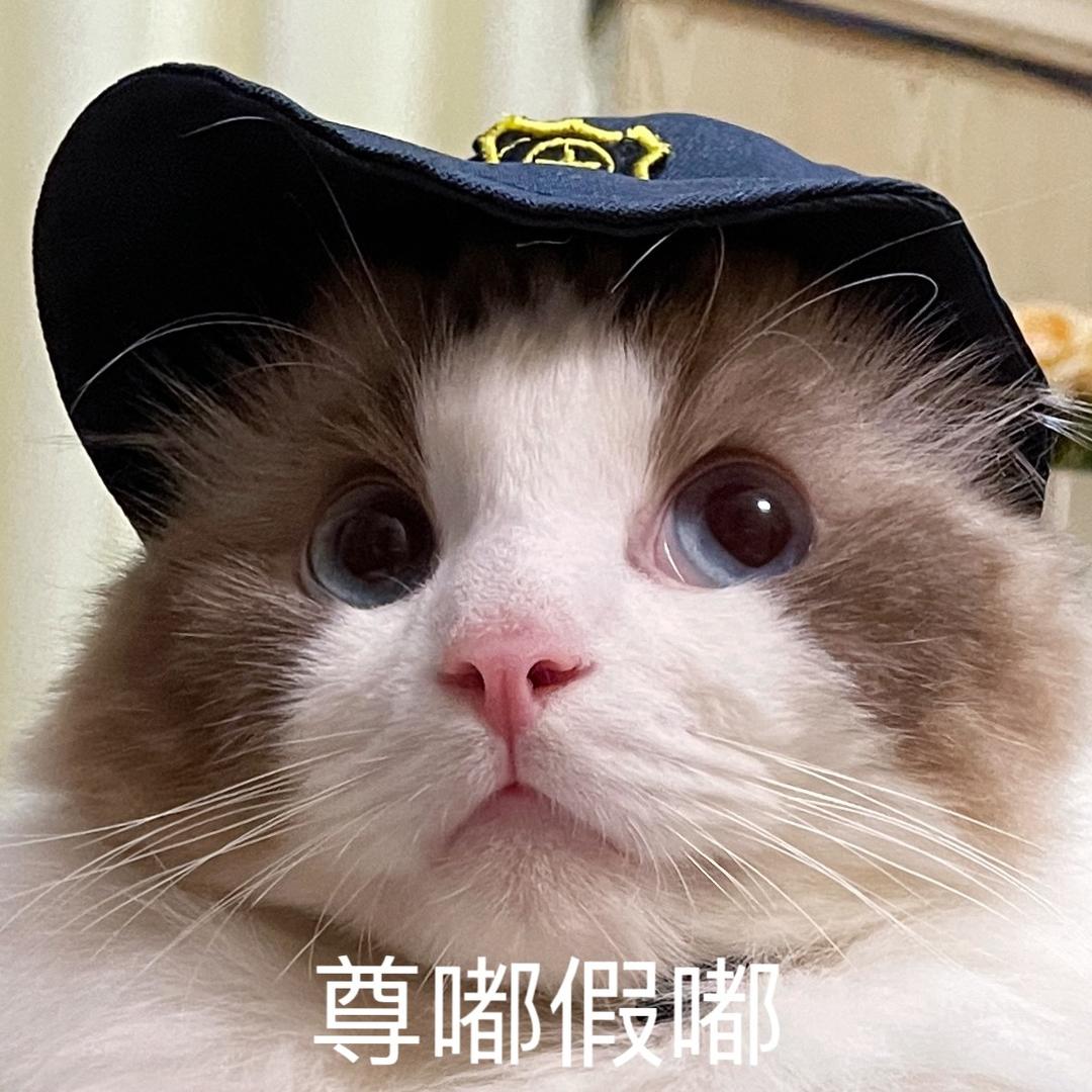 馒头波比努努呀