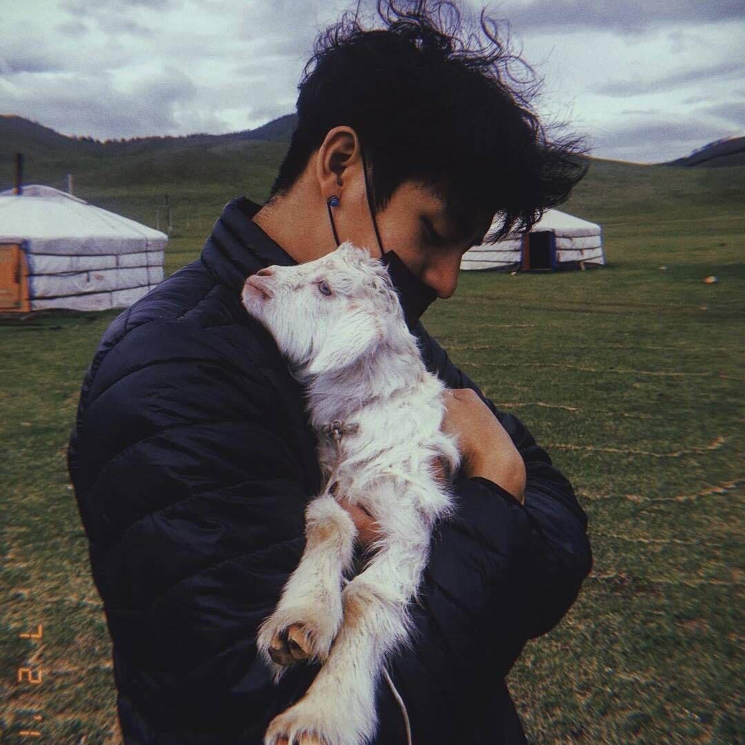 宝哥短视频带货