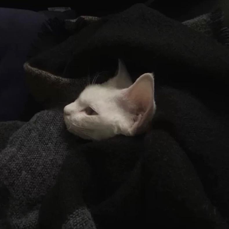 明天見.-