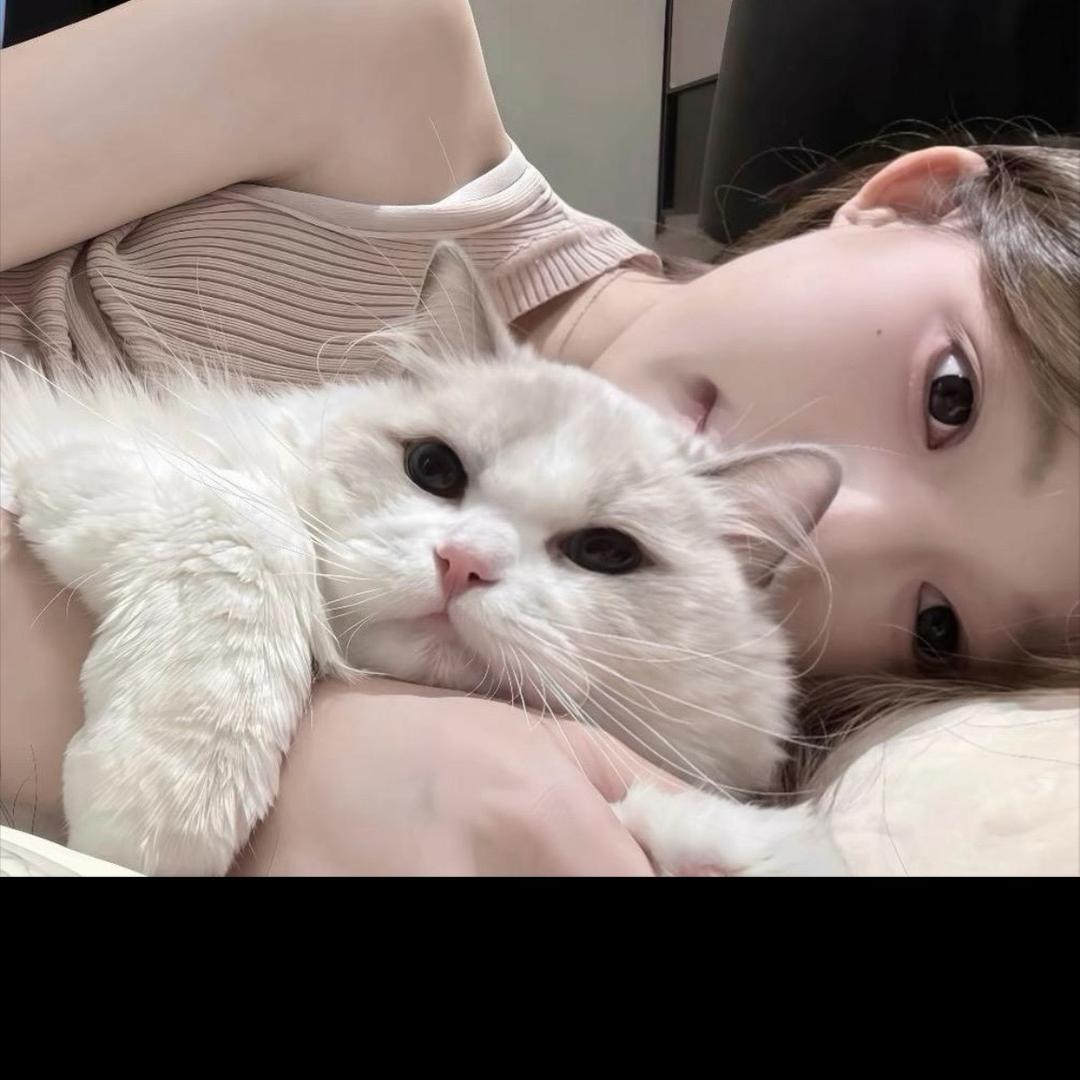 嘻