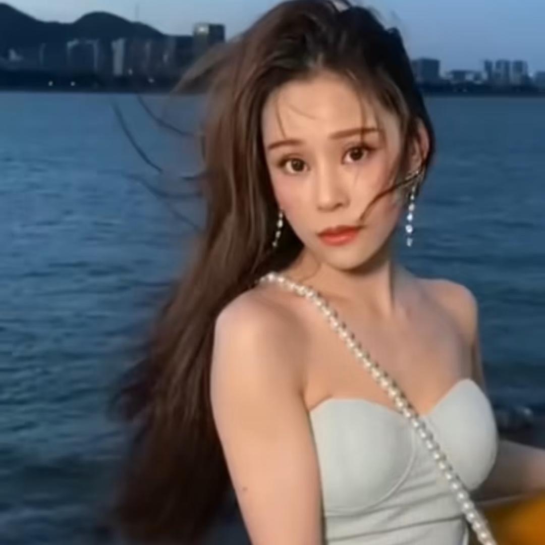 南飞的燕子-诺雪