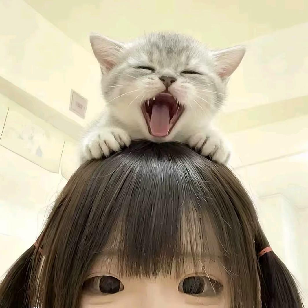 冰美式不加冰🧊