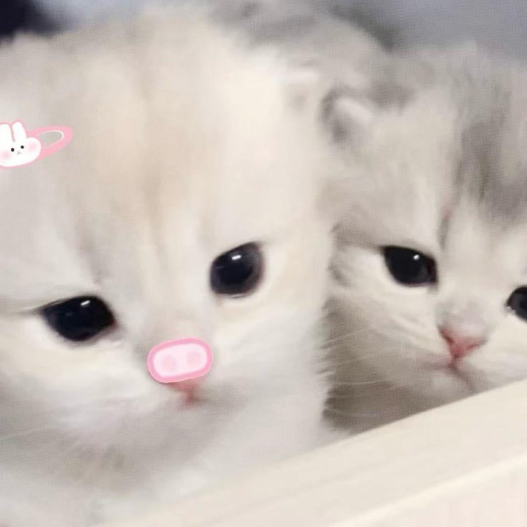 我女朋友超级超级可爱