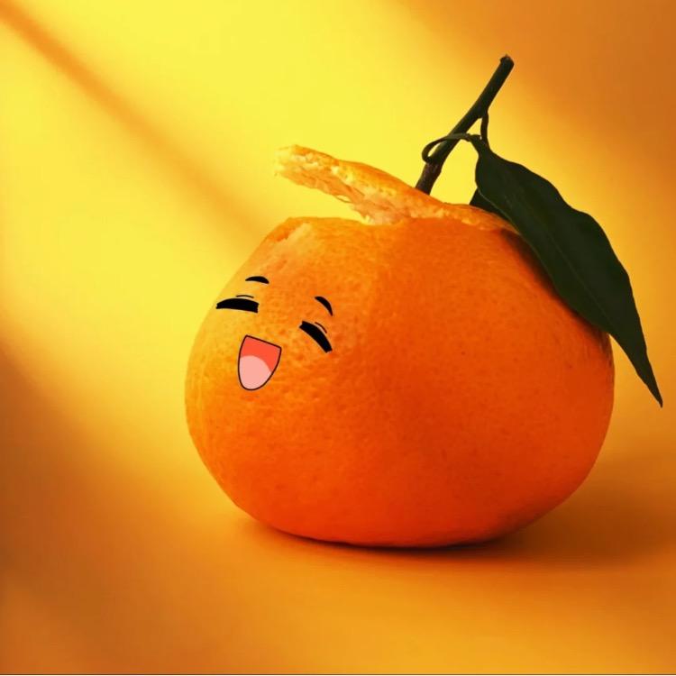 Hi、橘子
