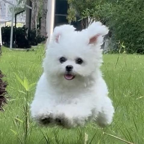 喵喵喵喵喵喵喵喵喵