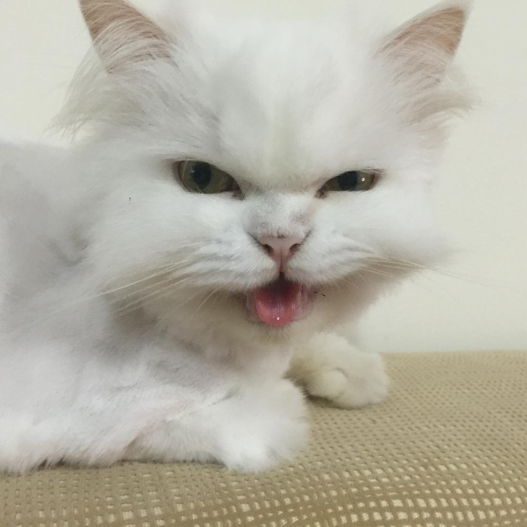 承