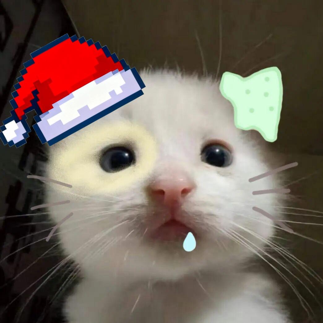小龟^ ^