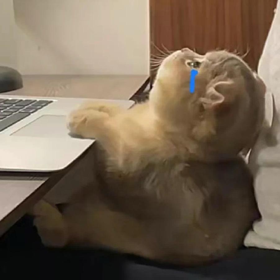 可爱的屎