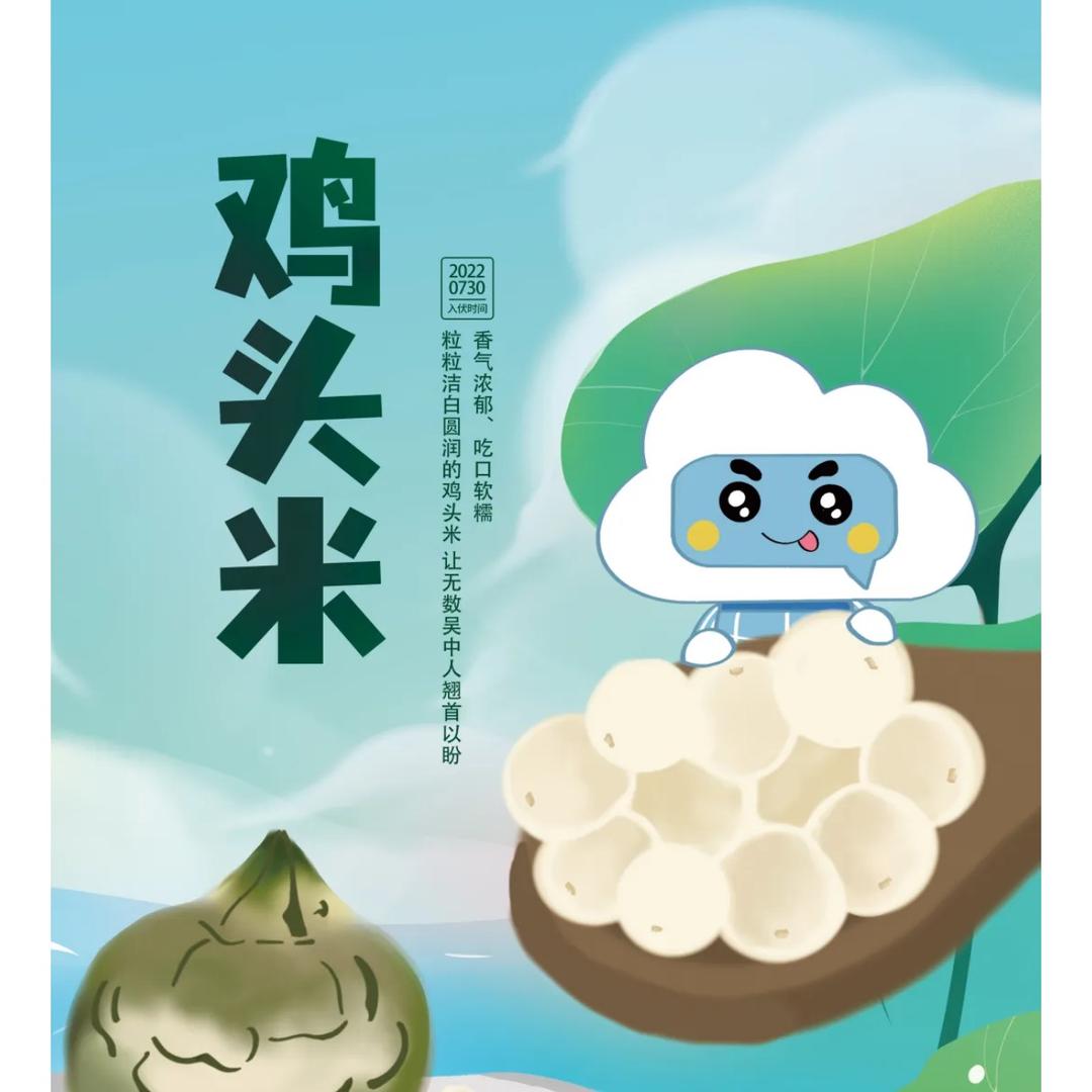 奋斗青年