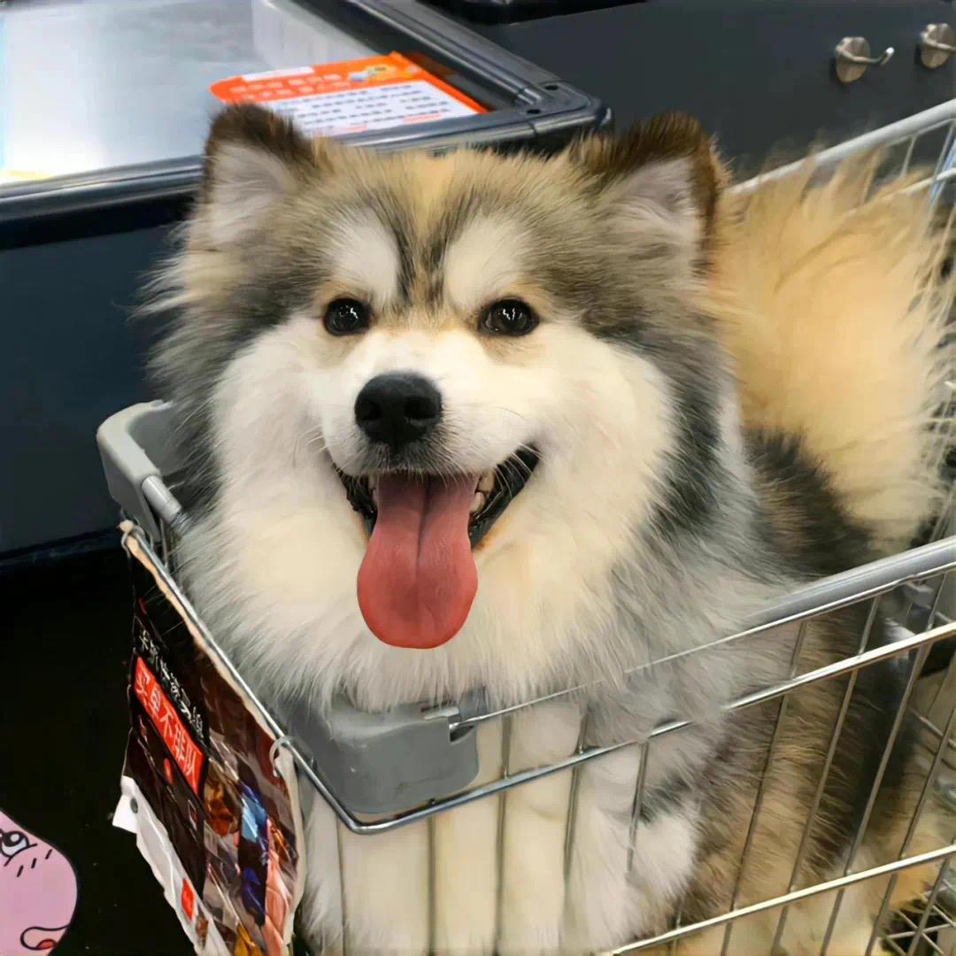 李开心