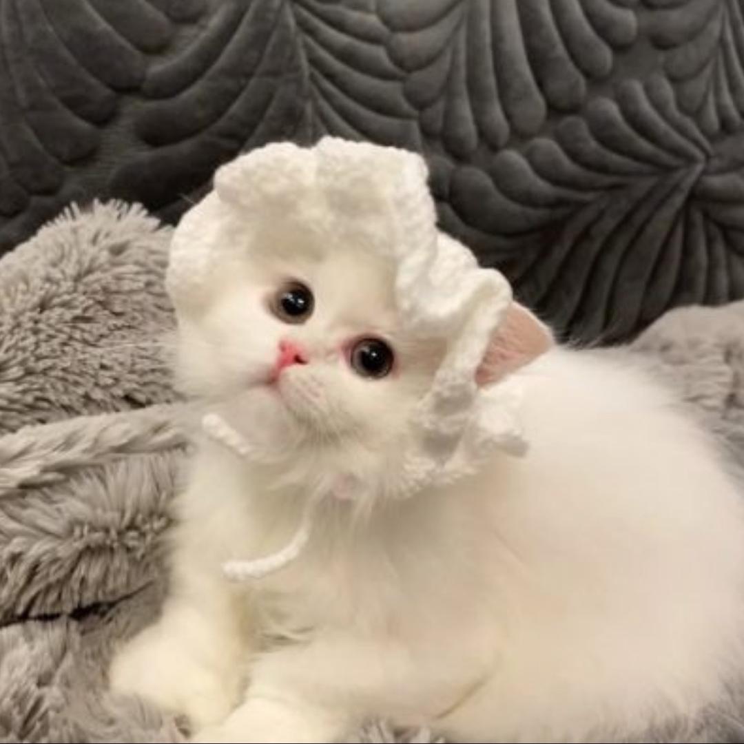 兜兜宝藏