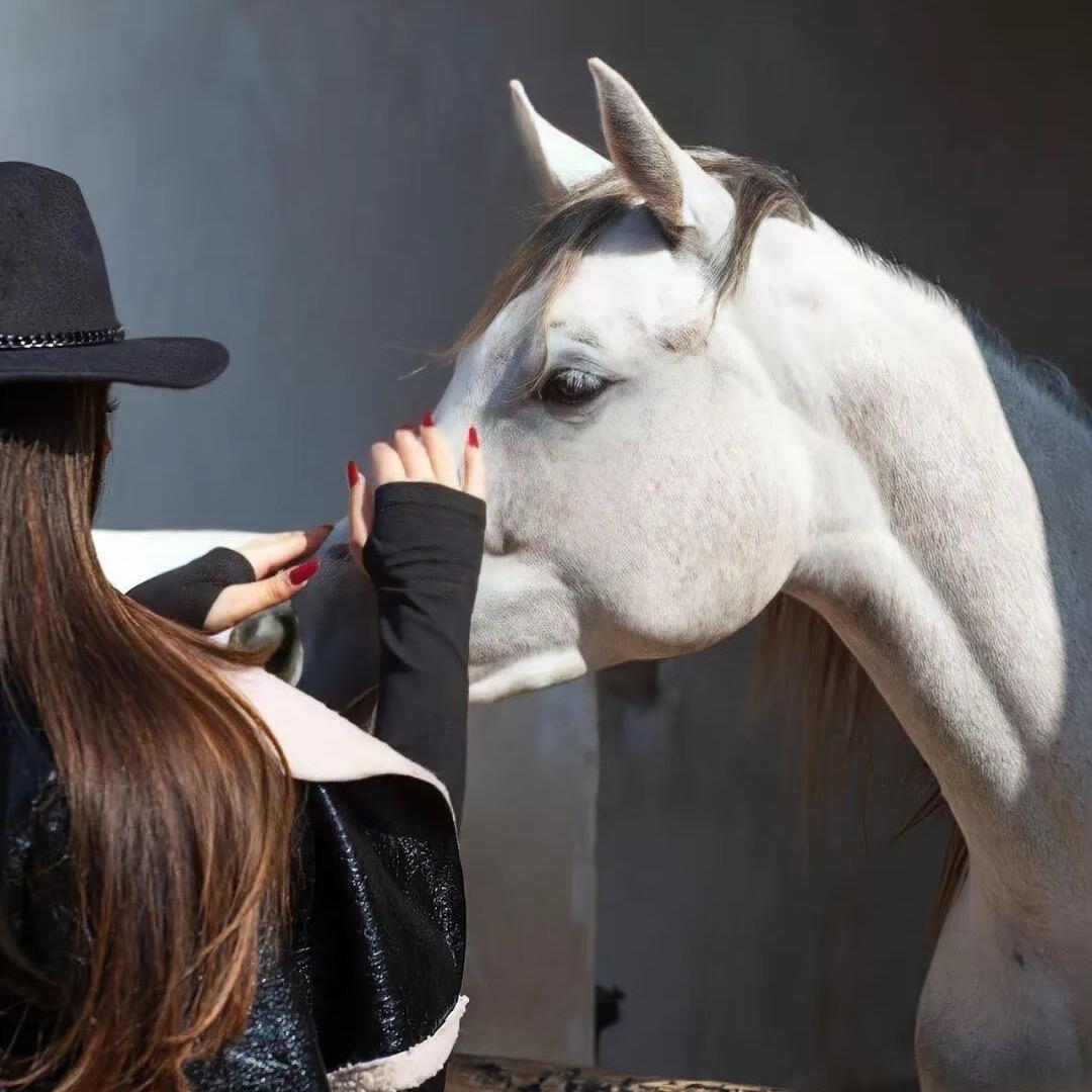 钱从四面八方来
