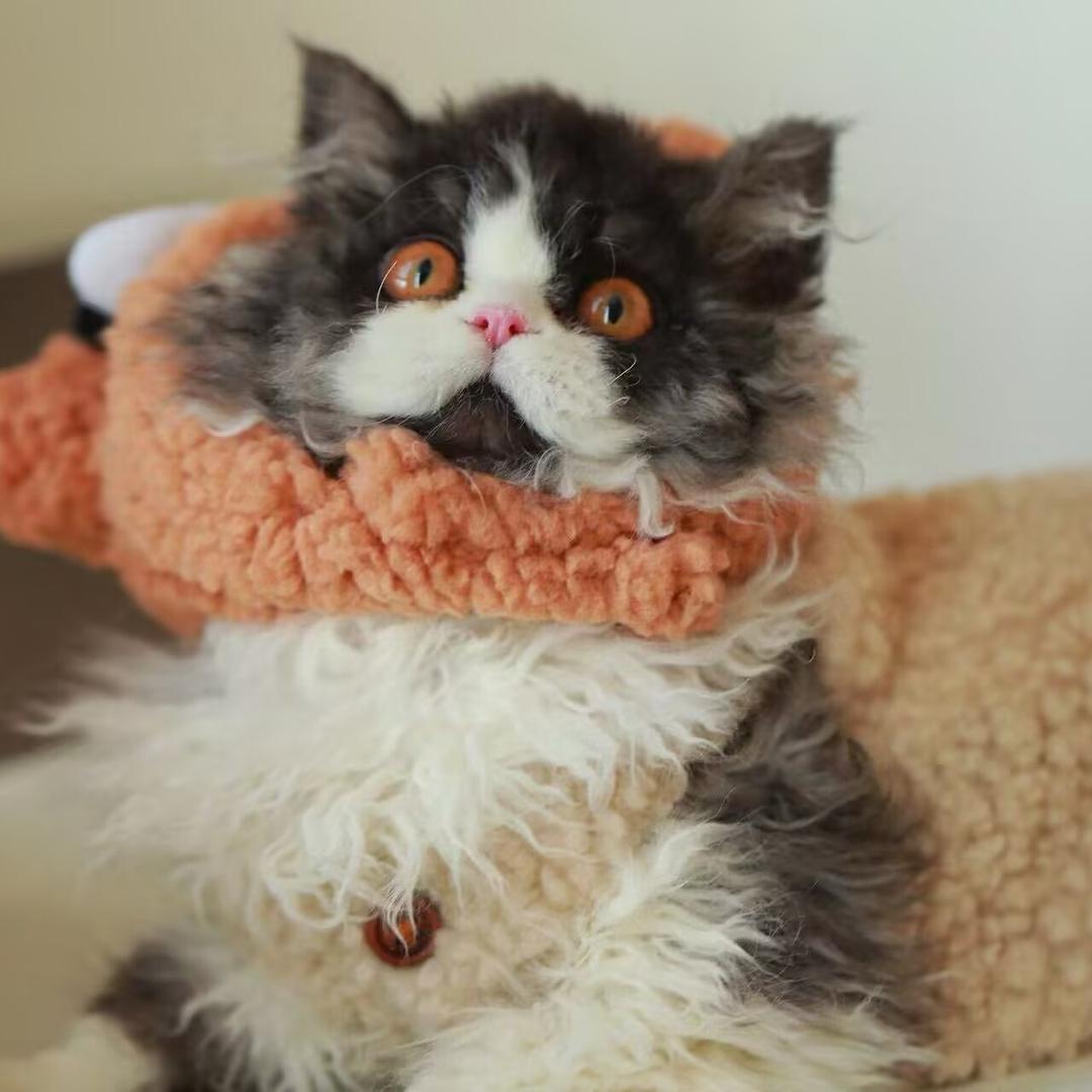 藕片op家的塞凯