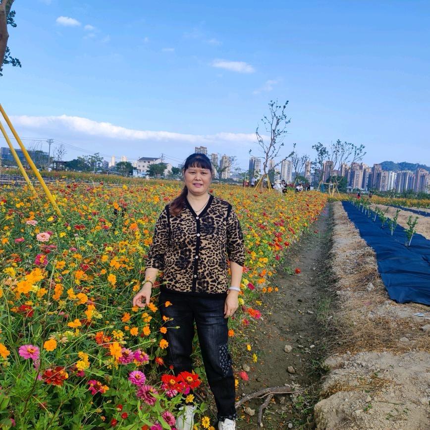 🌺四季🌻🌻安然🌺🌺🌺