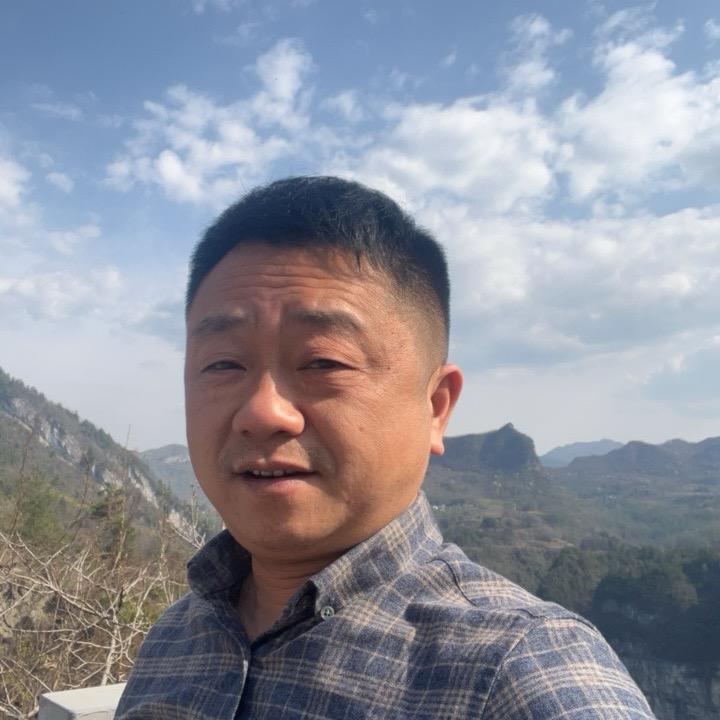 ❤️随风飞