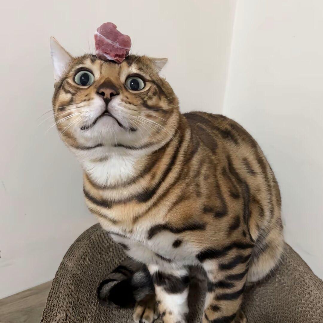 念、