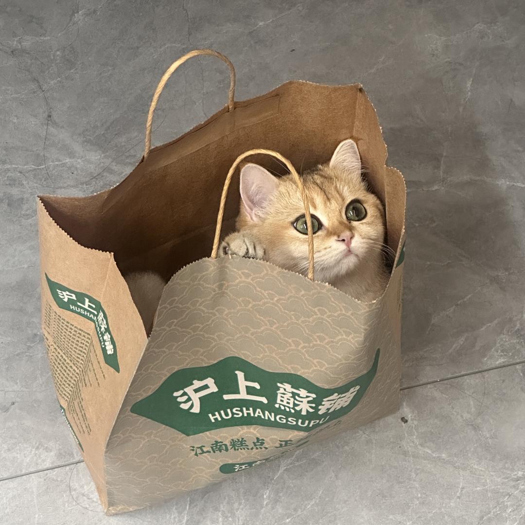 小爱的好物橱窗