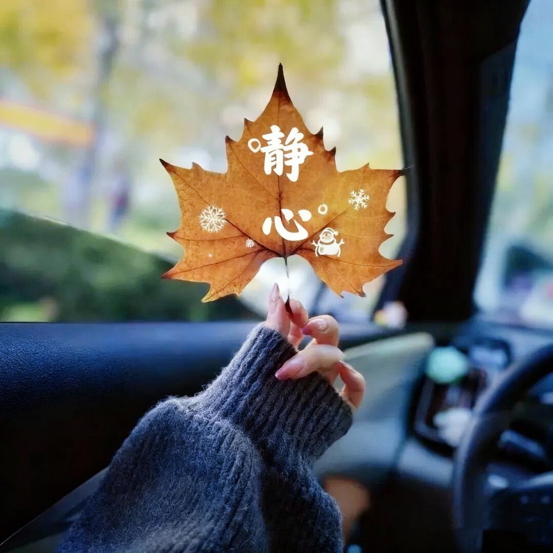 安𐂂 ♡⃝ 吾心归处