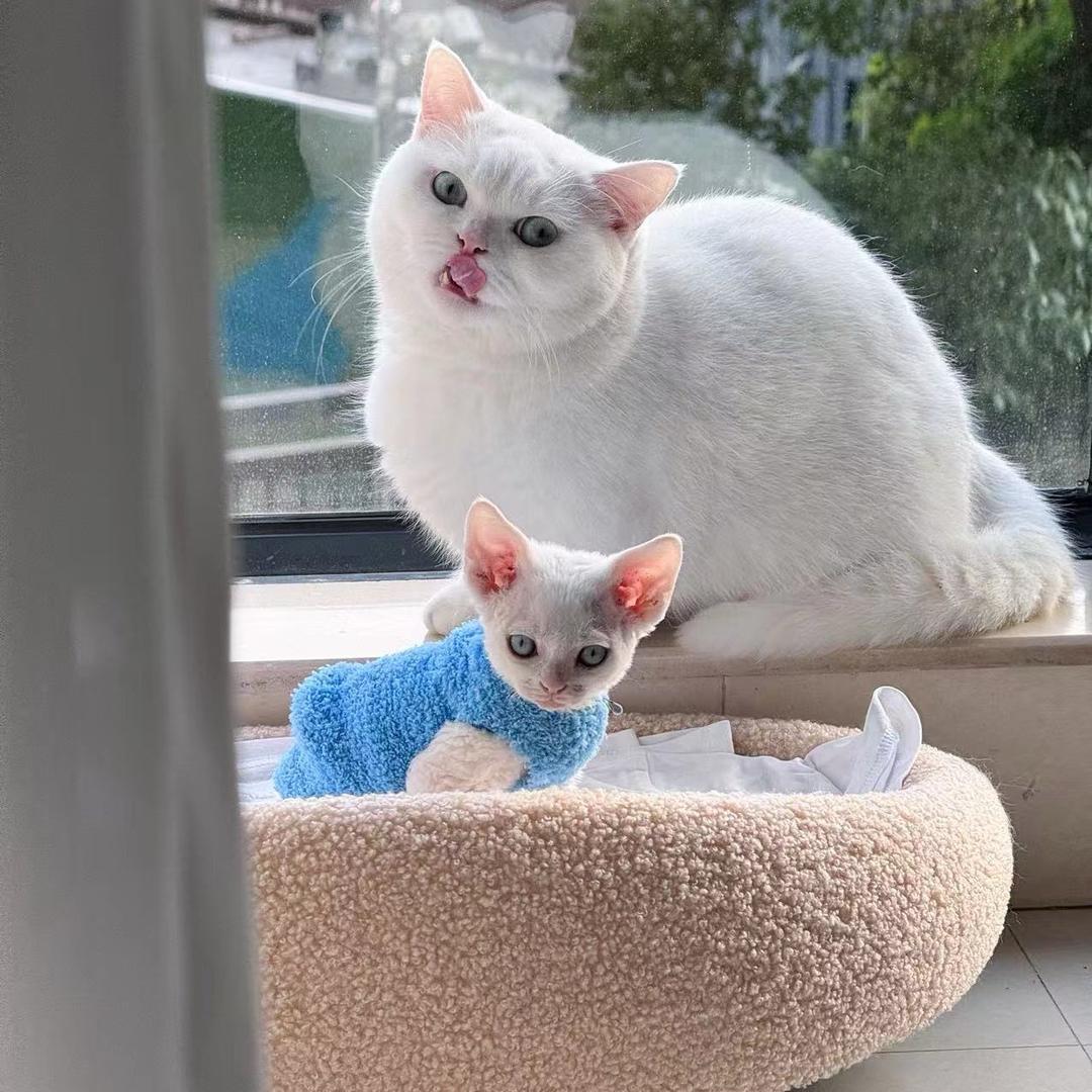 ❁҉҉҉҉҉҉҉҉阿杰     🏎