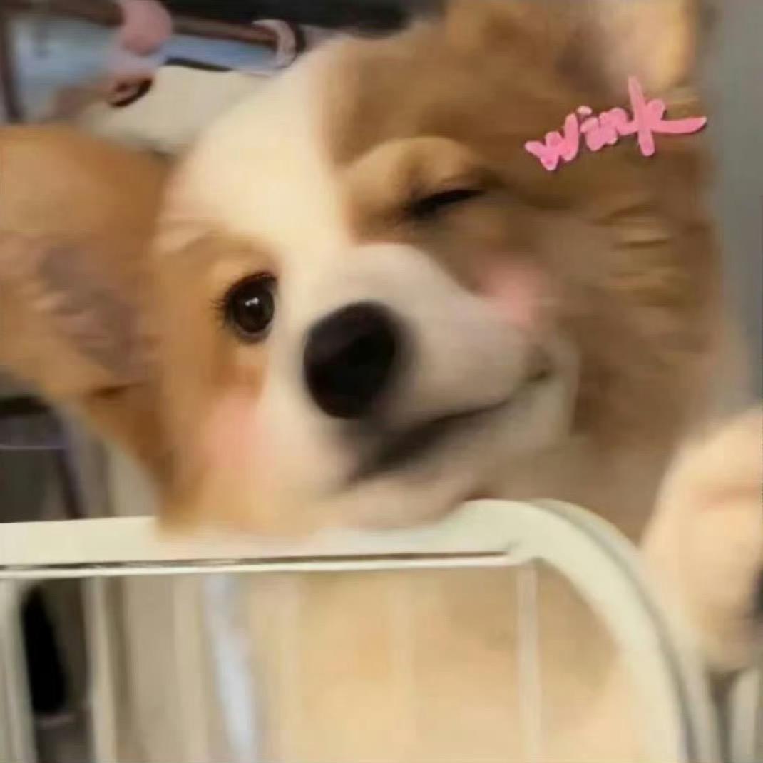 小羊没有星期日