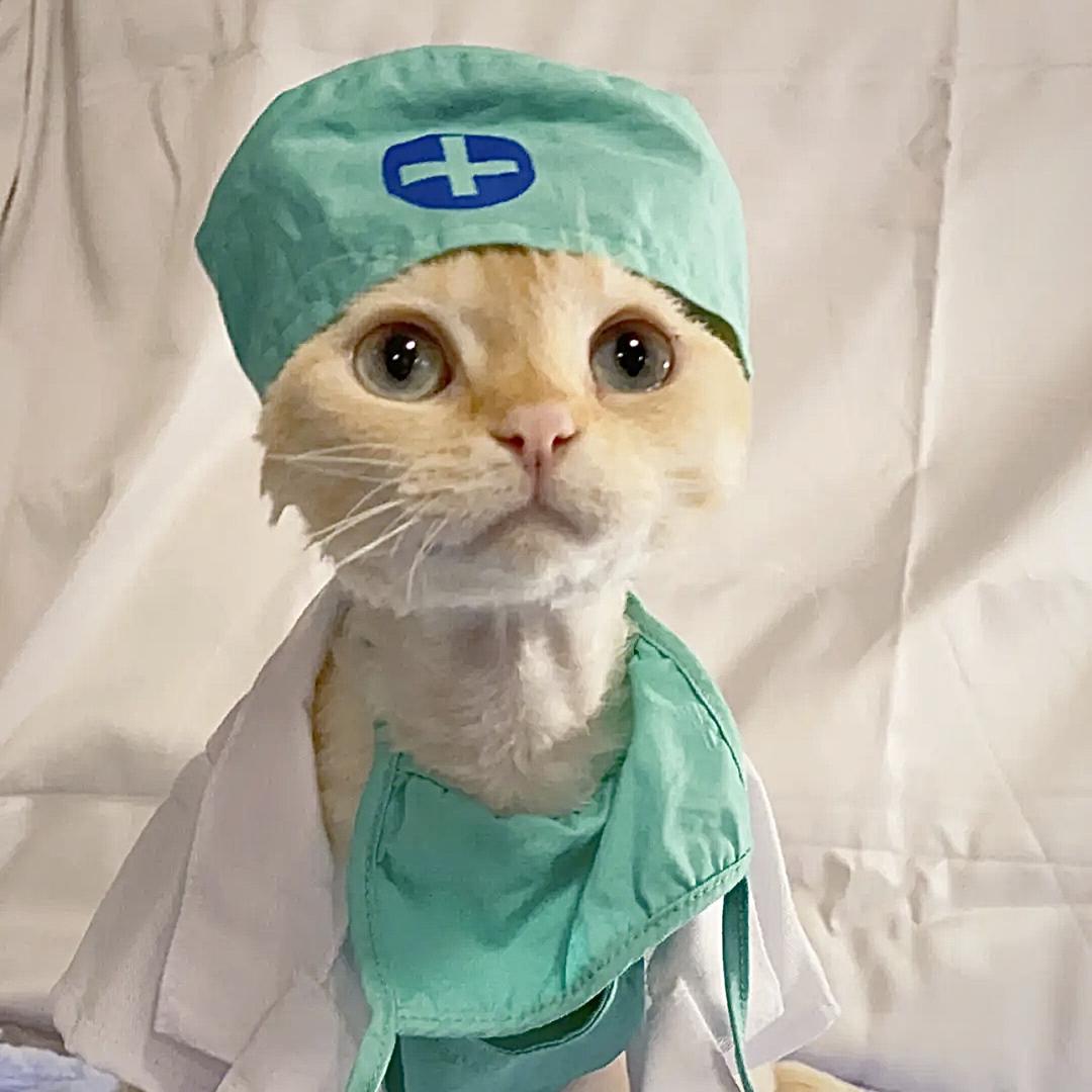 👩🏻‍⚕️护理一姐(主任版)