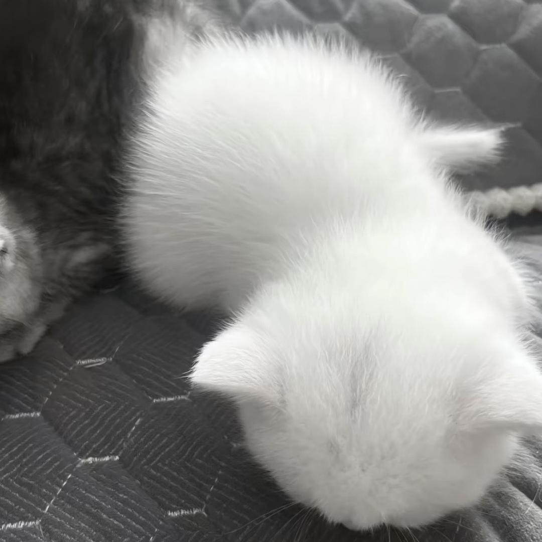 澪