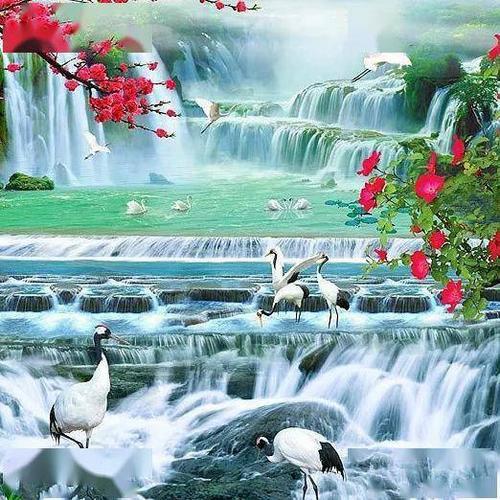 杨宁