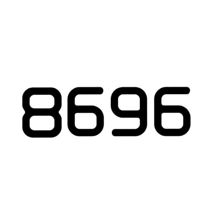 8696女装实体批发