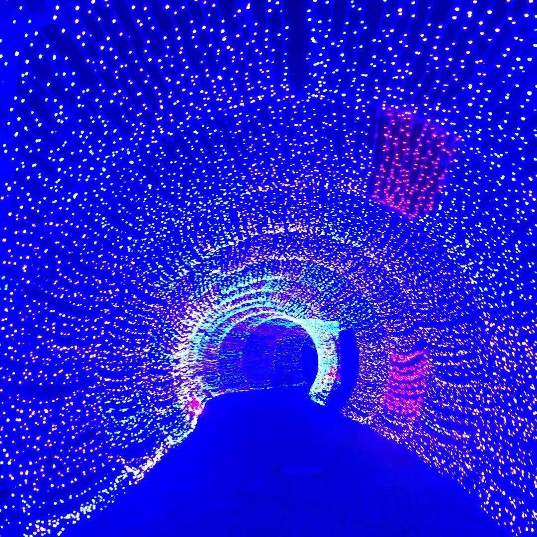 梅之