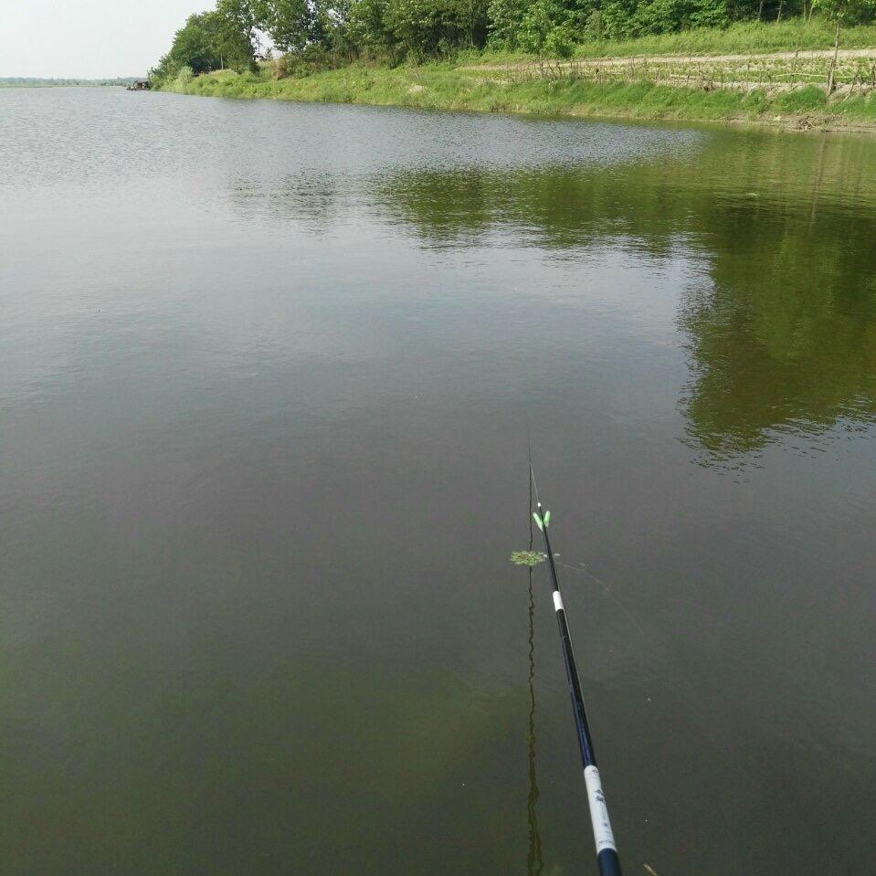 被老爸拉壮丁的牛马