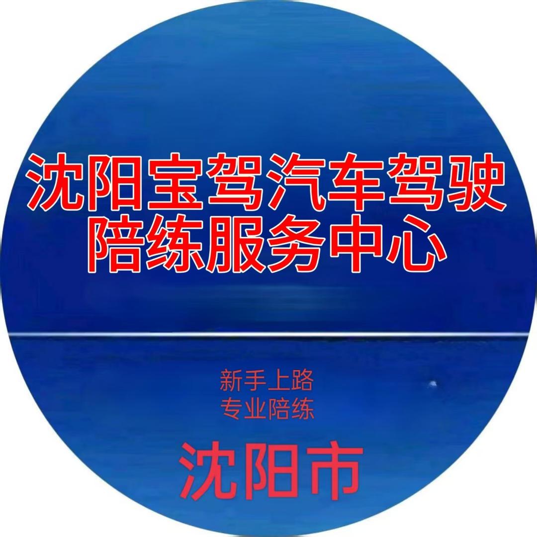 沈阳宝驾汽车驾驶陪练（小号）