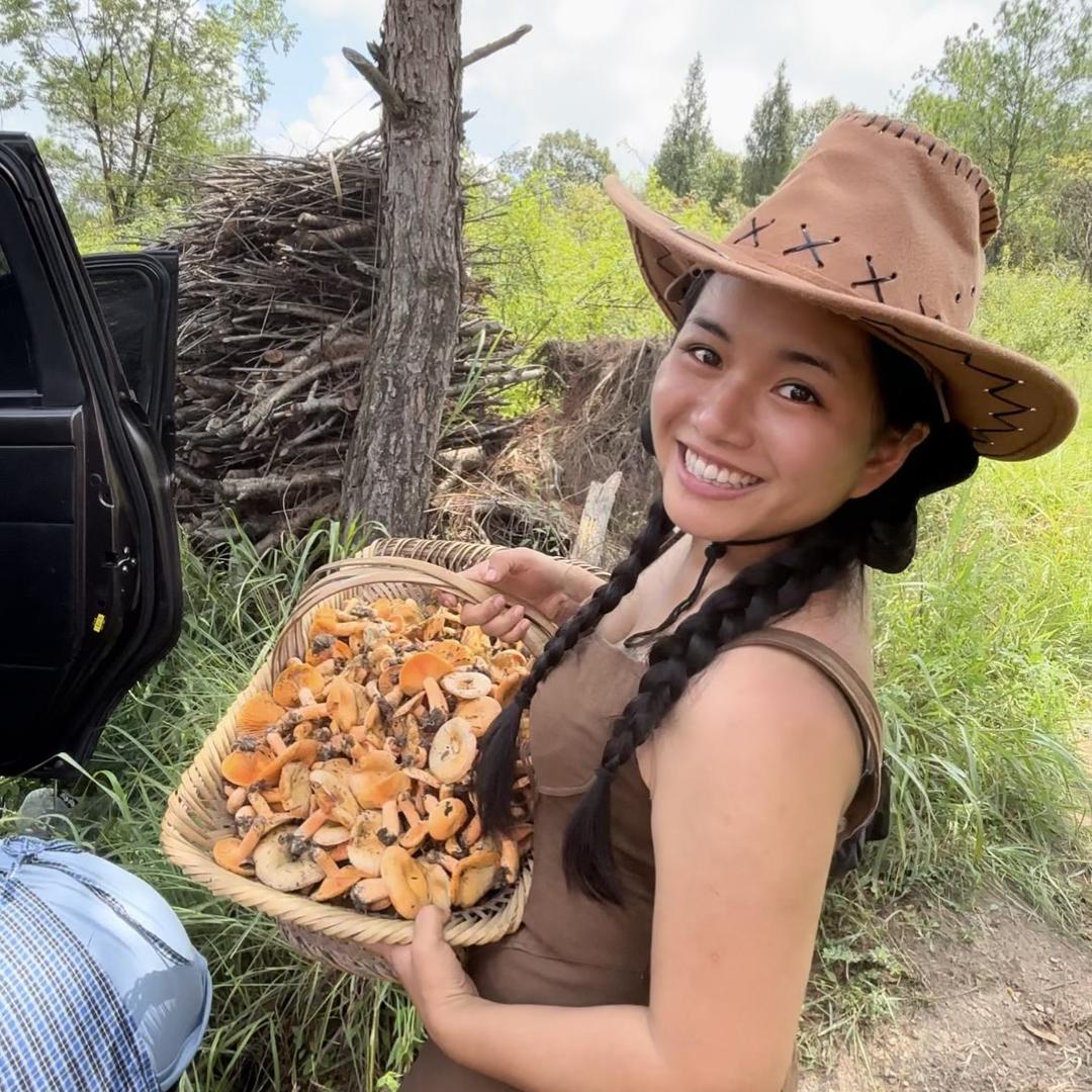 全菌出击：包活版野生菌