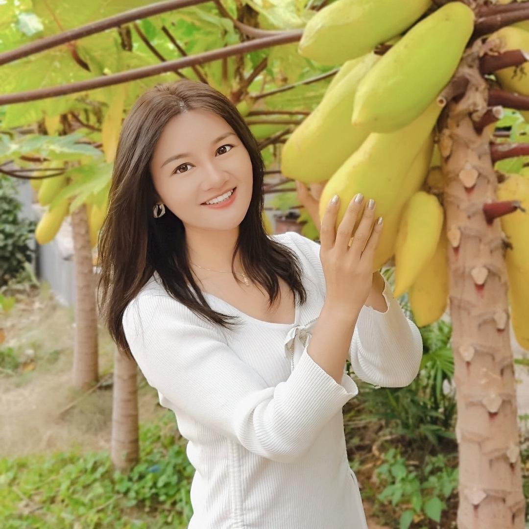 小燕探宝